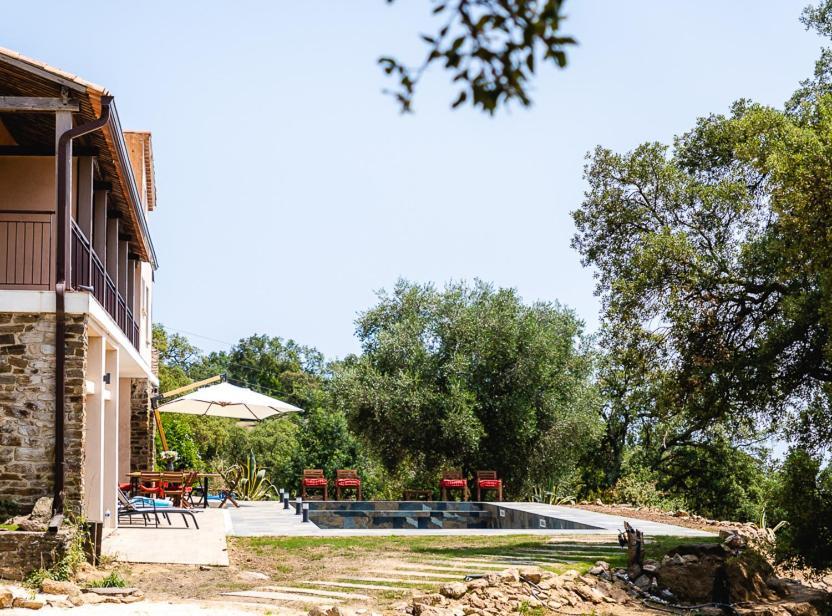 Grande Villa 750 M2 Le Mas Des Chenes Bormes-les-Mimosas Exterior photo